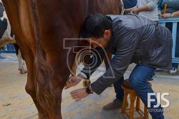  El alcalde de Telde se va con 'Rosita' (Foto TA)